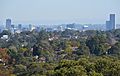 Parramatta skyline from Denistone July 2018