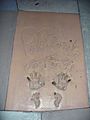 Pat Morita (handprints in cement)