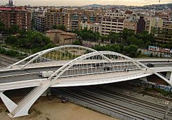 Puente de Calatrava- Bach de Roda - panoramio.jpg