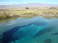 Spring Water coahuila MEXICO - panoramio.jpg