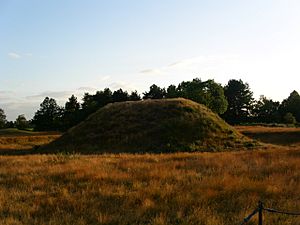 Sutton Hoo Burial Mound.jpg
