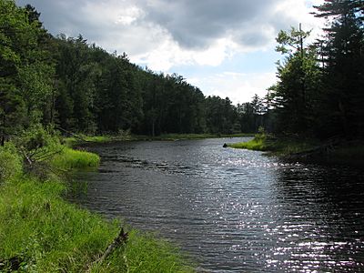 Bog River Flow, St Lawrence County, NY