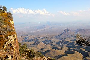 Chihuahuan Desert from South Rim BIBE