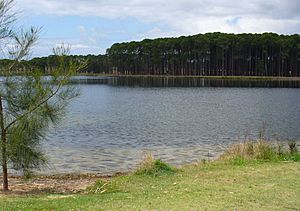 Pizzey Park lake