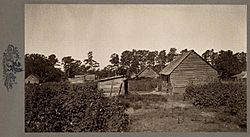 Plantation slave houses South Carolina Low Country