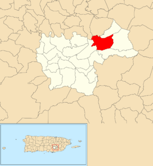 Location of Vegas within the municipality of Cayey shown in red