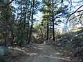 Arizona Peace Trail traverses the Hualapai Mountain range