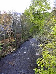 Colne Water from Bridge Street - geograph.org.uk - 1561047