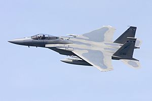 F-15C Florida (17149377921)