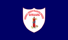 Flag of Richmond, Virginia (1914-1933)
