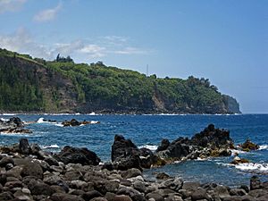 Hamakua Cliffs from Laupahoehoe Point, Hawaii