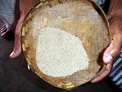 Niyamgiri rice