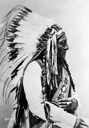 Sitting Bull (Tatonka-I-Yatanka), a Hunkpapa Sioux, 1885 - NARA - 530896