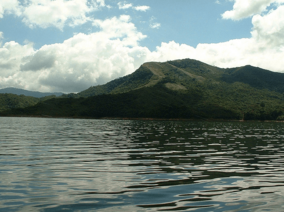 Tapo Caparo National park Venezuela.png