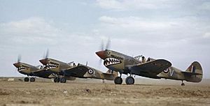 The Royal Air Force in Tunisia, May 1943 TR975.2