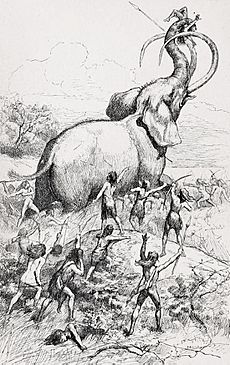 A Mammoth Hunt