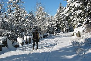 Acadia National Park, cross-country skier on a carriage road