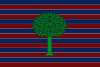 Flag of Floresta