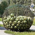 Melons in cage, Russia