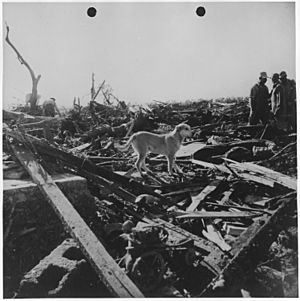 Men and dog inspect rubble left by tornado. Udall, Kansas - NARA - 283889