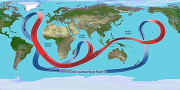 Overturning circulation of the global ocean