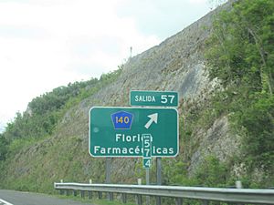 PR-140, Florida Farmacéuticas, Salida 57 sign on PR-22