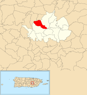Location of Río Abajo within the municipality of Cidra shown in red