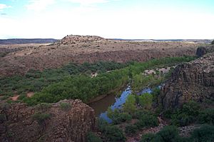 Verde River-Arizona