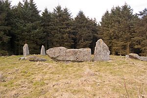 Aikey Brae Stone Circle - geograph.org.uk - 1774962