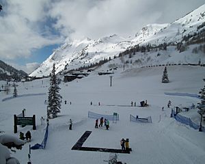 Alta Ski Area, February 2011