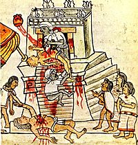 Codex Magliabechiano (141 cropped)