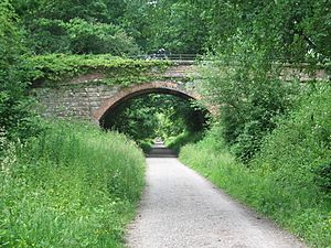 Forest Way - Luxfords Lane