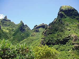 Makana Mountain ridge from Limahuli Garden and Preserve, Kauai, Hawaii