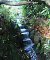 Stream Garden Trengwainton 1 (280058150)