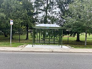 A Bus Stop, East Hills, Long Island, New York October 13, 2021 A