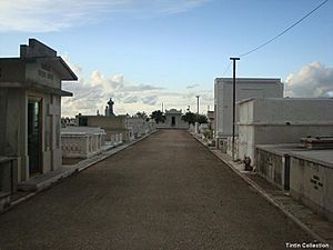 Cementerio-Pasillo-Central - panoramio