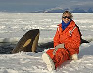 NOAA ecologist Lisa Ballance with killer whale