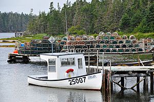 Nova Scotia DGJ 7889 - I can't carry all those lobster traps!!!!!!! (4891334833)
