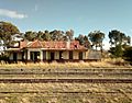 Picture of Petrus Steyn Train Station ruins