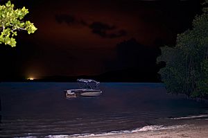 View of a boat at Puerto Ferro at night from Peninsula Rd. in Vieques