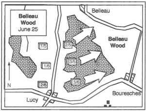 Belleau-wood-june-25