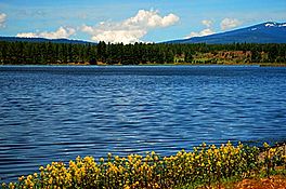 Boyle Reservoir (Klamath County, Oregon scenic images) (klaDA0004).jpg