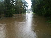 Mill Street, Pomona - February 2013 floods