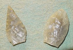 Neolithic arrow heads from selsey