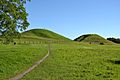 Royal Mounds of Gamla Uppsala (by Pudelek)