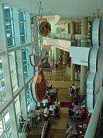 Tampa Bay History Center - View of Lykes Atrium as seen from above Columbia Cafe