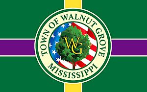 Town of Walnut Grove, Mississippi, Official Flag