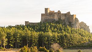 Castillo de Loarre, Loarre, Huesca, España, 2015-01-06, DD 06