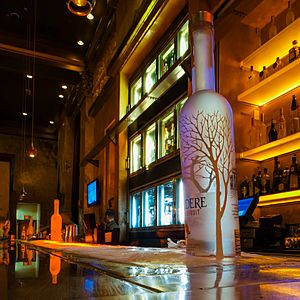 Belvedere Vodka at Red Square in Mandalay Bay (14858479551)