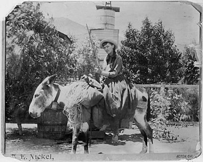 Lou.henry.on.a.burro.at.acton.CA.1891.08.22
